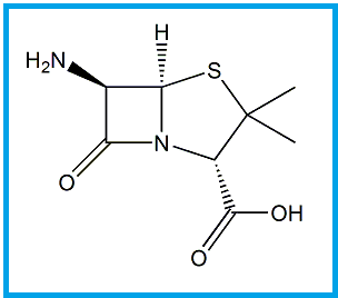 FLUCLOXACILLIN EP IMPURITY C / FLUCLOXACILLIN BP IMPURITY C / 6-AMINOPENICILLANIC ACID (6-APA)